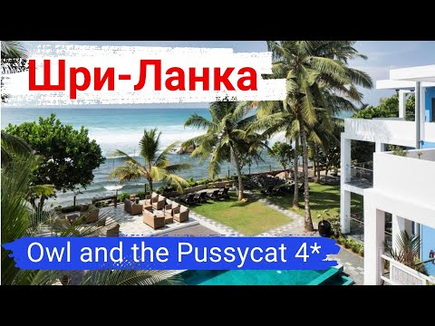 Видео: Шри-Ланка. Отель Owl and the Pussycat 5*. Потрясающий, тихий, уютный бутик-отель.