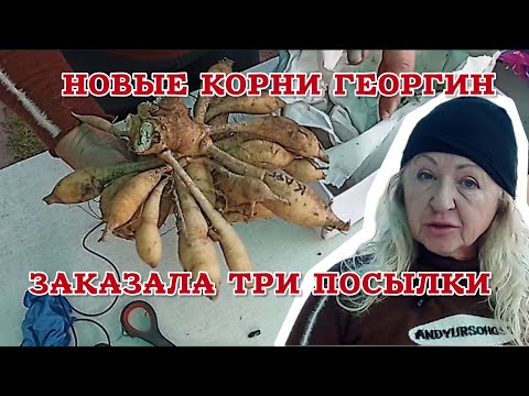 Видео: Выставляем оценки за посылку цветов. Распаковка со мной 🌺