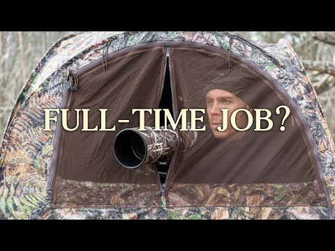 Видео: 40-часовая рабочая неделя фотографа дикой природы