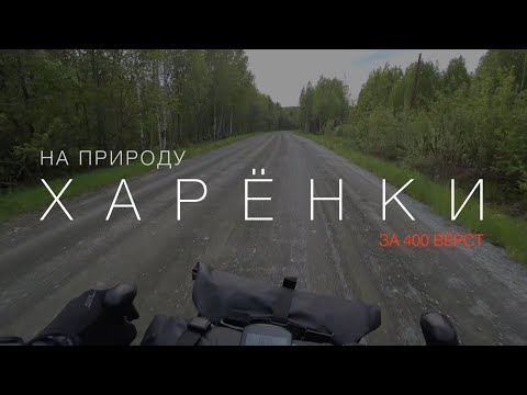 Видео: На природу за 400 км: в Харёнки на велосипеде