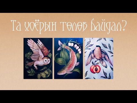 Видео: [Их Аркан] Энэ харилцааны төлөв? 💞🌦️🔥(Цаглашгүй + Э.Ш. + Нэмэлт)