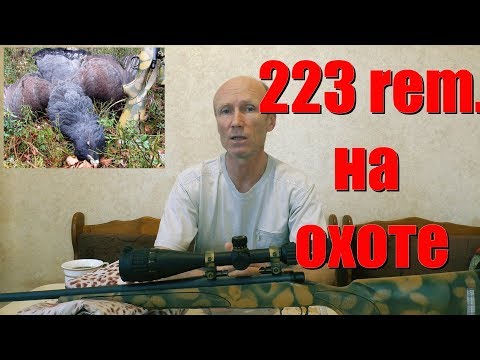 Видео: 223 rem.О калибре...