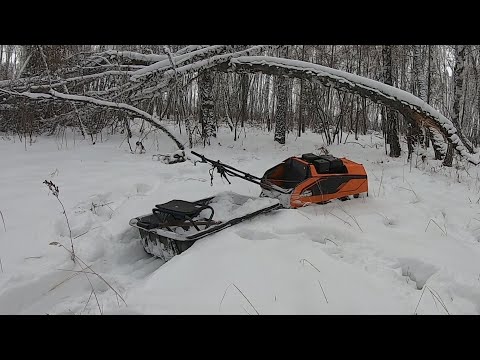 Видео: Мотобуксировщик. Покатушки. Природа. Лес