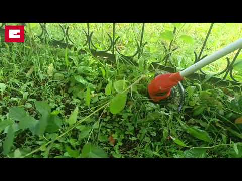 Видео: Einhell Аккумуляторный триммер GC-CT 18/24 L-F