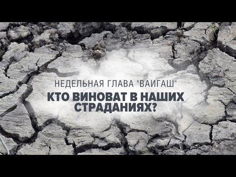 Видео: КТО ВИНОВАТ? (Рав Исраэль Якобов) Недельная глава "Ваигаш"