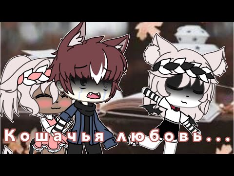 Видео: ||Кошачья любовь||Мини-фильм||2/2🐱💕