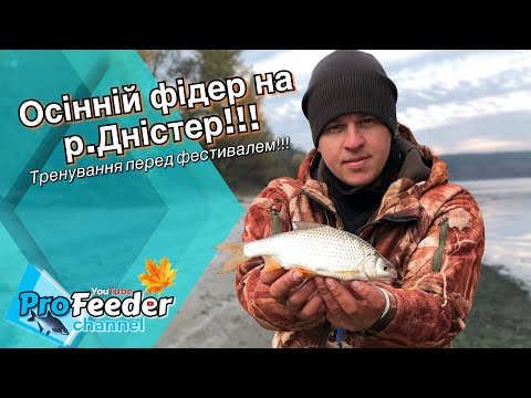 Видео: Осінній фідер на р.Дністер!!! Тренування перед фестивалем!!!