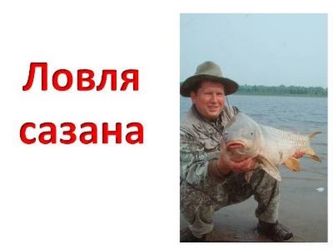Видео: Ловля сазана. Ловля сазана с лодки