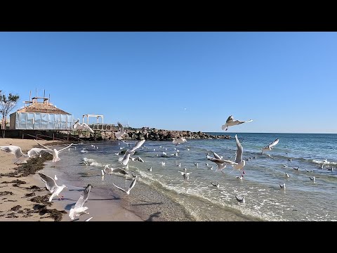 Видео: Прогулка по берегу Чёрного моря с.Равда, Болгария /Ravda, Bulgaria