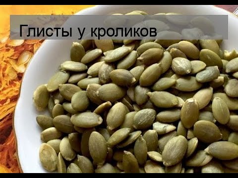 Видео: Глисты у кроликов