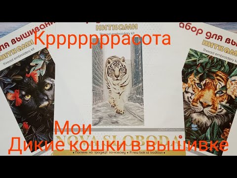 Видео: "Снежный тигр", "Рай диких джунглей", "Королева диких джунглей" от Nova Sloboda. И не только))))