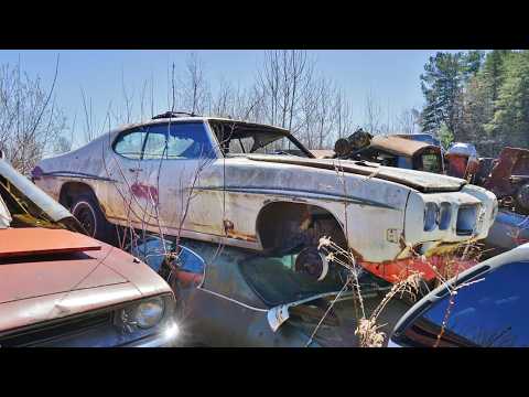 Видео: ДА, ДЕЙСТВИТЕЛЬНО! Судья Cuda и GTO на свалке!