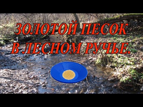 Видео: Золотой ручей. Поиск золота. Golden stream.