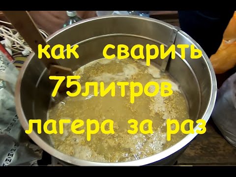 Видео: Варим лагер!