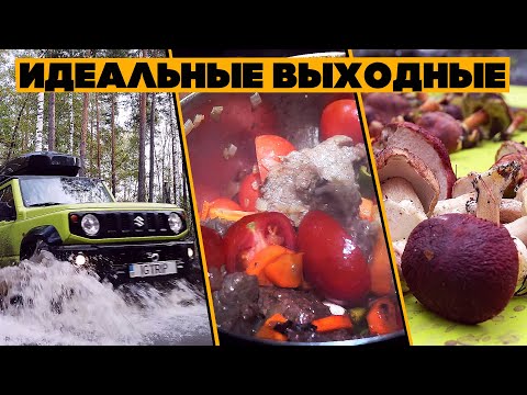 Видео: Готовим на костре, ночуем в лесу, собираем грибы - идеальные выходные с друзьями!