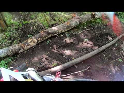 Видео: НА АДРЕНАЛИНЕ 2024 Эндуро Данков Вилков 132