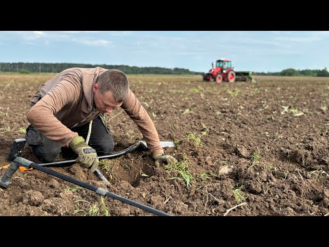Видео: МЫ ПЕРВЫЕ  НА ЭТОМ ПОЛЕ  !!!  много находок!!! ТРАКТОР ПЕРЕВЕРНУЛ ЗЕМЛЮ И НАХОДКИ ВЫЛЕЗЛИ НАРУЖУ !!!
