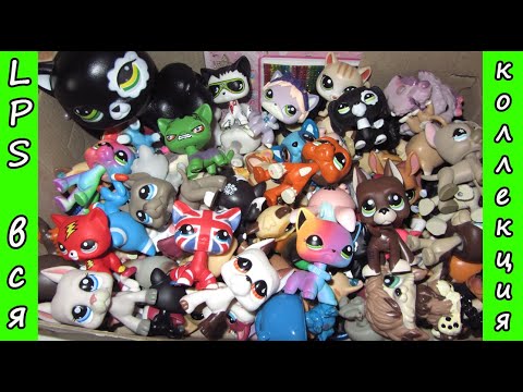 Видео: LPS КОЛЛЕКЦИЯ / Все мои лпс коллекции/ Littlest Pet Shop Collection!