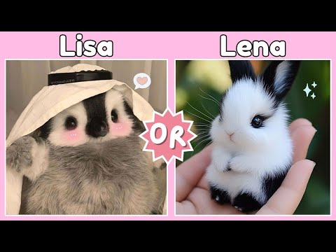 Видео: ЛИЗА ИЛИ ЛЕНА - выпуск "Животные" #лиза #лена #животные #тренды