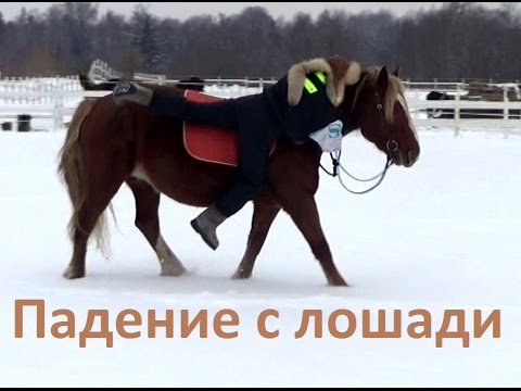 Видео: Падение с лошади.