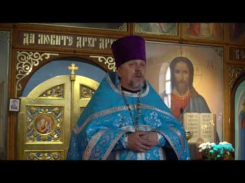 Видео: Проповедь иерея Сергия Лосева