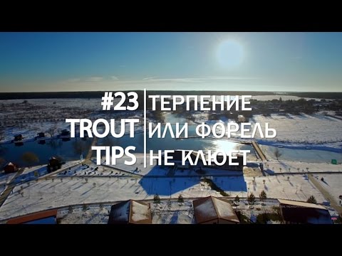 Видео: Trout Tips #23. Ловля пассивной форели.