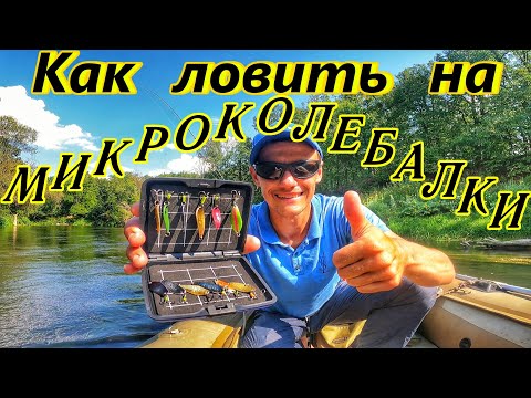 Видео: КАК ЛОВИТЬ НА МИКРОКОЛЕБАЛКИ?/ТЕХНИКА ЛОВЛИ И ОСНОВНЫЕ ПРОВОДКИ/ЛОВЛЯ ГОЛАВЛЯ/РЫБАЛКА В САМАРЕ