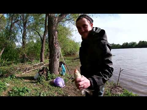 Видео: ОТКРЫТИЕ ФИДЕРНОЙ ЛОВЛИ НА РЕКЕ ЧУЛЫМ