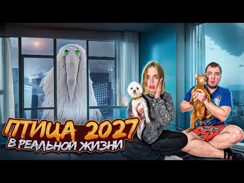 Видео: ЛОФАМИНУС В РЕАЛЬНОЙ ЖИЗНИ | 24 ЧАСА В ПАЛАТКЕ С КОТОМ И СОБАКОЙ