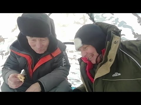 Видео: Зимняя рыбалка на Леща.В поисках леща на реке Лоза.Пробуем все.Поставушки на Леща.Стаи Леща в камере