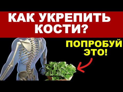 Видео: Природные источники КАЛЬЦИЯ и МИНЕРАЛОВ для КРЕПКИХ КОСТЕЙ