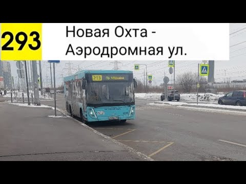 Видео: Автобус 293. Новая Охта - Аэродромная ул.