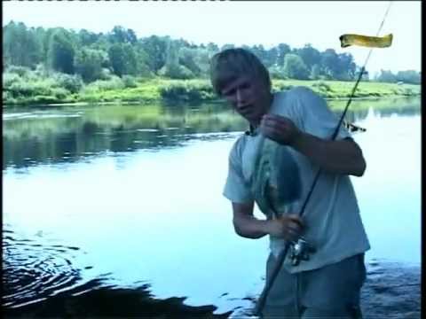 Видео: Клевое место №2 (Волга,Тверца)