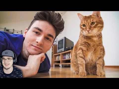 Видео: ЧТО МЫ ДЕЛАЕМ ЗА ДЕНЬ? ► БРАЙН МАПС ( TheBrianMaps ) | Реакция