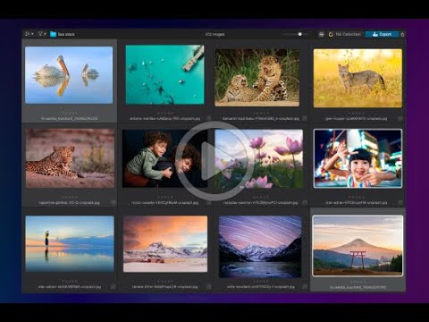 Видео: Навигация по PhotoLibrary в DxO PhotoLab 9