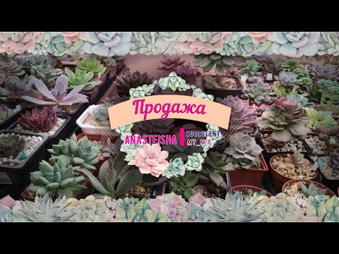 Видео: Продажа излишков.