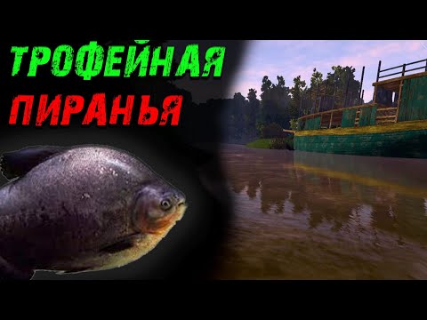 Видео: Fishing Planet PS4 # Трофейная пиранья / Коллекции Fishing Planet / река Маррон