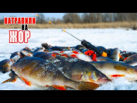 Видео: СПРАВЖНІЙ ЖОР КРУПНОГО ОКУНЯ на БАЛАНСІР.   Зимова Риболовля 2025 в лютий мороз.
