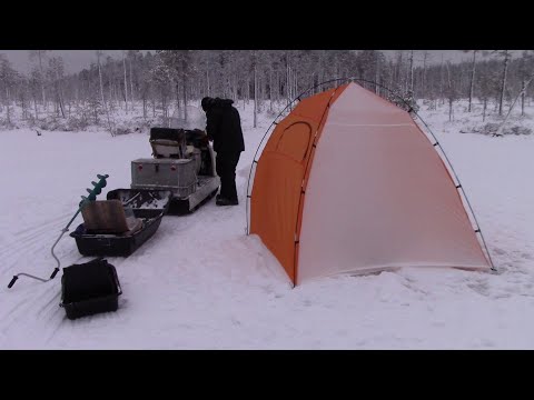 Видео: На буране по лесу, почти без снега к балагану