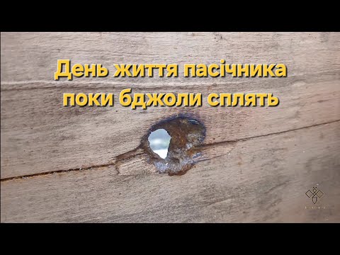 Видео: День життя пасічника поки бджоли сплять