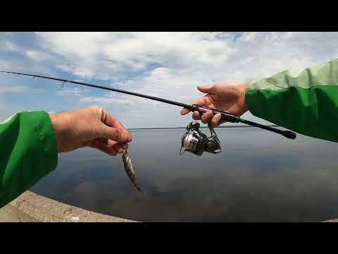 Видео: Микроджиг с Abu Garcia ERADICATOR RealFinesse ERFS-610LS-TZ