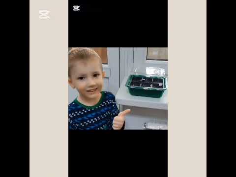 Видео: «Бақытты отбасы»
