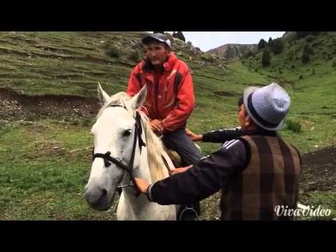 Видео: Чыныгы Кыргыздар АЛАЙ "Арпатектир " (Улушто)2015