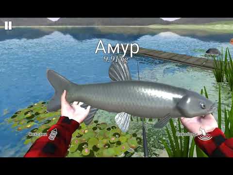 Видео: Ultimate Fishing simulator. Амур и сом