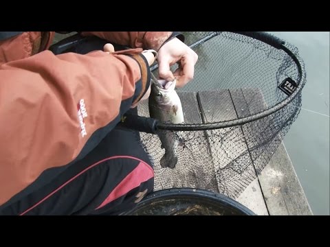 Видео: Как поймать форель на фидер.