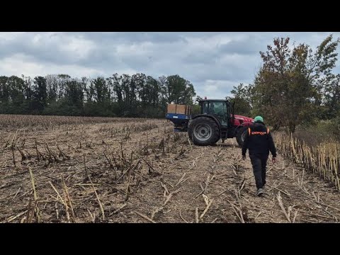 Видео: Вінниця. Пізнє збирання = пізній посів! Сіємо РУМом…
