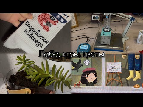 Видео: Vlog: Учебная неделя в РХТУ. Лаба/пересаживаю цветок/покупки/кошка/игра/нытьё😊