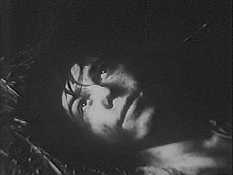 Видео: "Улыбка". Фильм Михаила Ралля. 1971 год