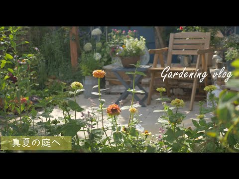 Видео: Gardening Vlog| Изготовление летних клумб ｜ Летний сад ｜ Изготовление печенья из лаванды и черники