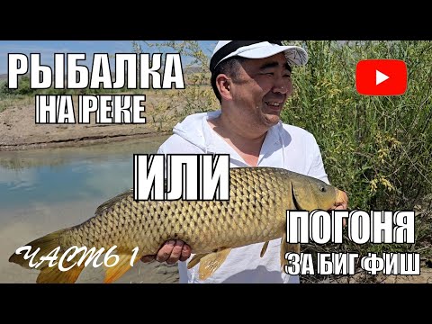 Видео: РЫБАЛКА НА РЕКЕ ИЛИ НЕЗАБЫВАЕМАЯ РЫБАЛКА С БОЛЬШИМ УЛОВОМ САЗАНА . ПОГОНЯ ЗА БИГ ФИШ - ЧАСТЬ 1